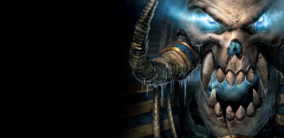 News: WarCraft 3: Reign of Chaos: Warcraft III kommt eventuell für Blizzard's Battle.net Launcher