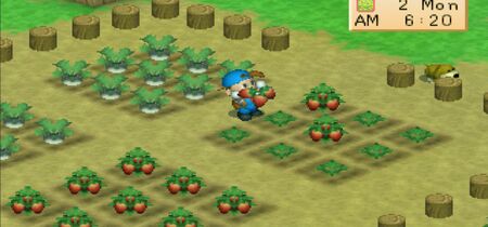 Harvest Moon - Back To Nature Screenshot