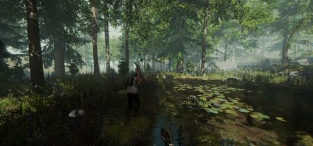 The Forest Screenshot